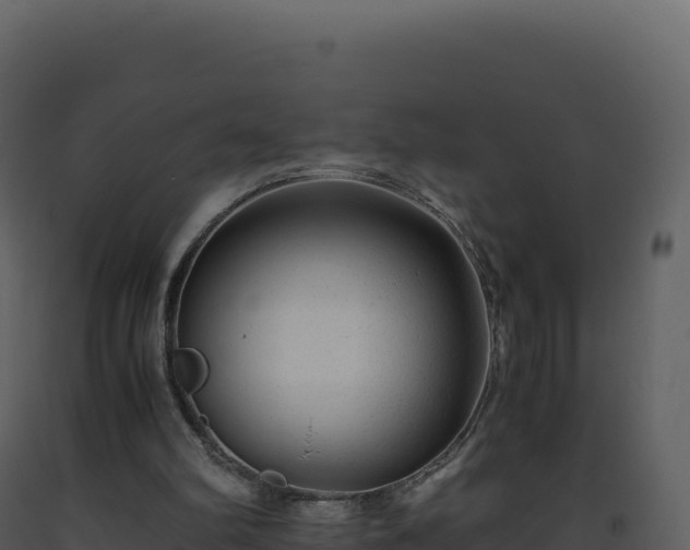 X0000093490102200710191236