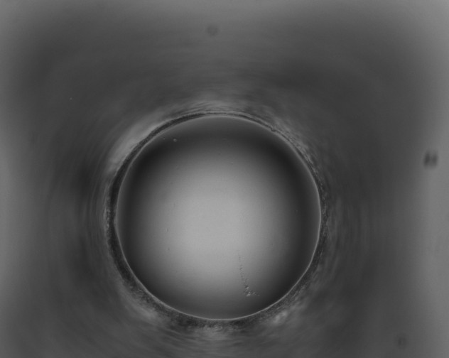 X0000093490103200710191236