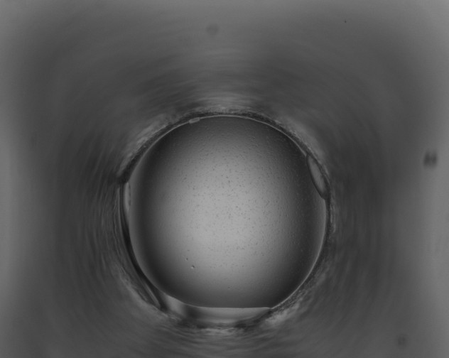 X0000093490105200710191236