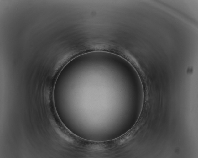 X0000093490106200710191236