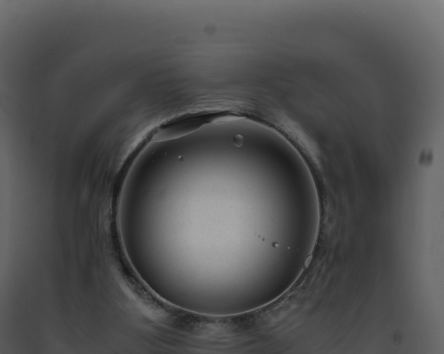 X0000093490107200710191236