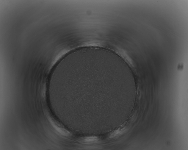 X0000093490108200710191236