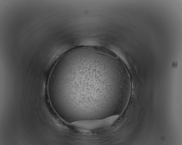 X0000093490109200710191236