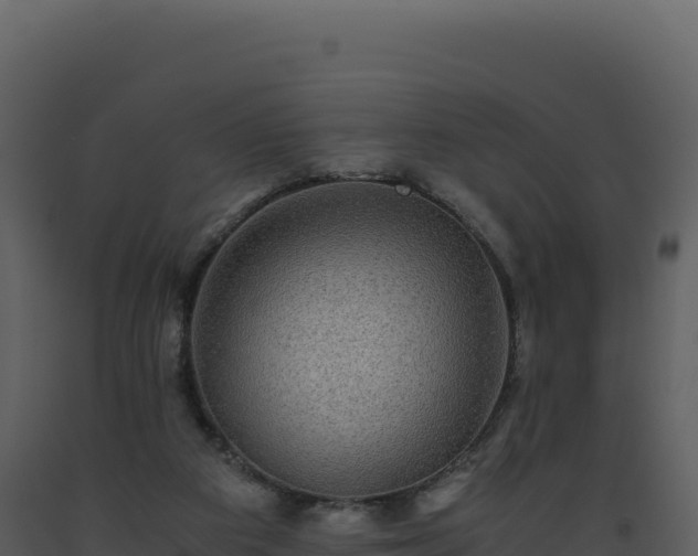 X0000093490113200710191236