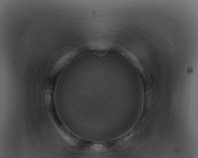 X0000093490114200710191236