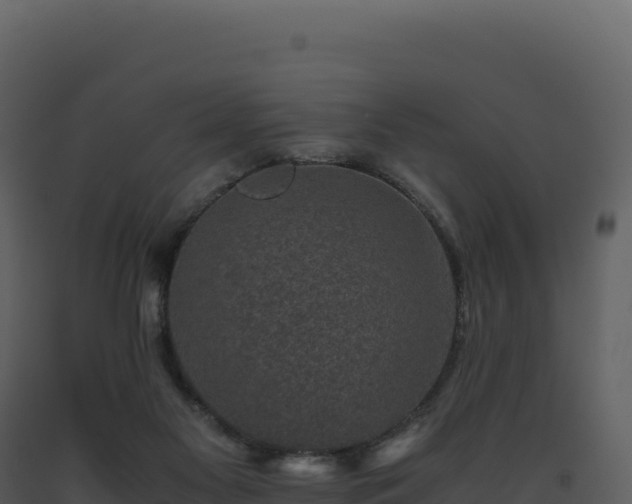 X0000093490117200710191236