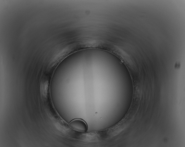 X0000093490118200710191236