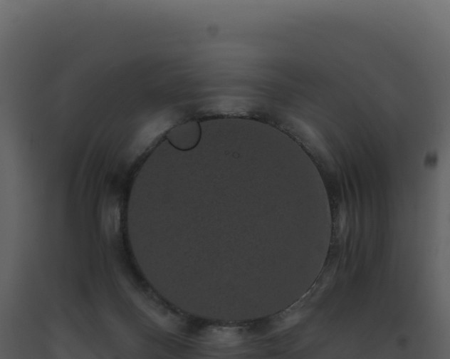 X0000093490120200710191236