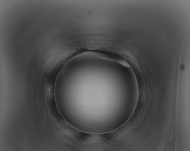 X0000093490123200710191235