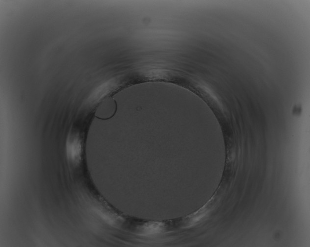 X0000093490124200710191235