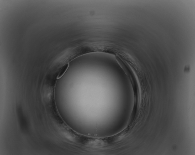 X0000093490125200710191235