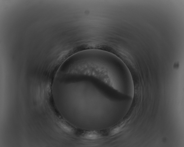 X0000093490127200710191235