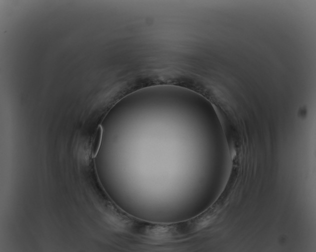 X0000093490129200710191235