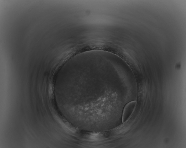 X0000093490130200710191235