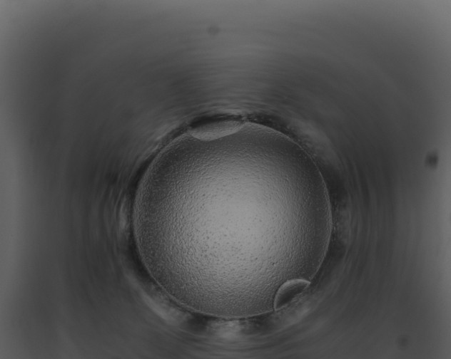 X0000093490131200710191235