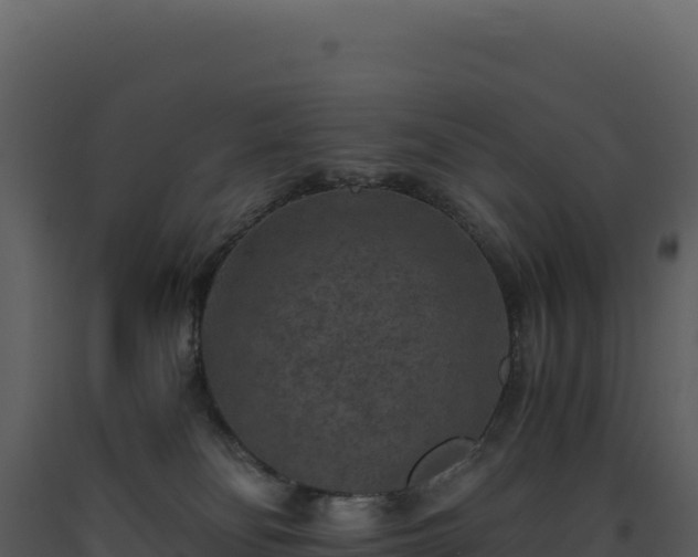 X0000093490134200710191235