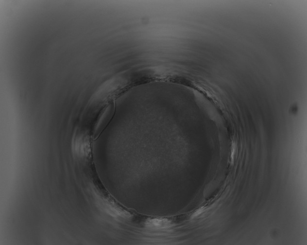 X0000093490137200710191235