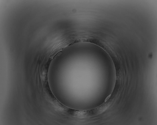 X0000093490139200710191235