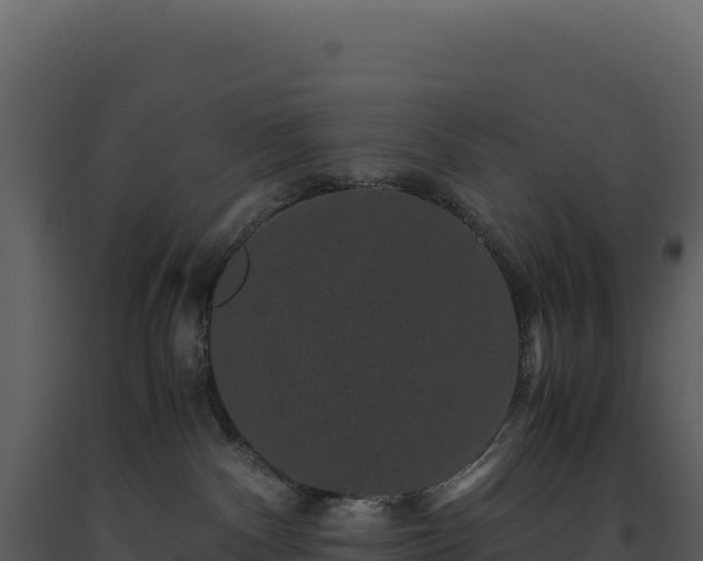 X0000093490140200710191235