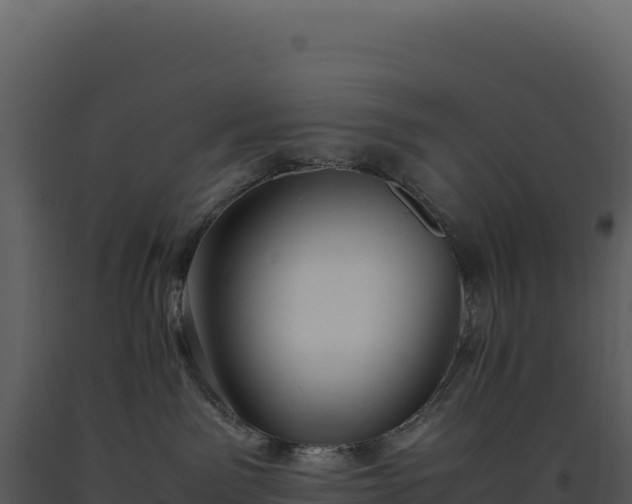 X0000093490141200710191235