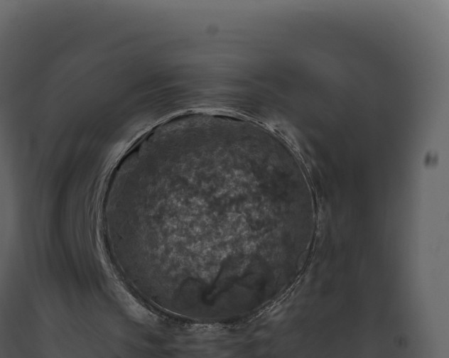 X0000093490145200710191234