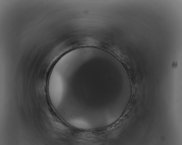 X0000093490146200710191235