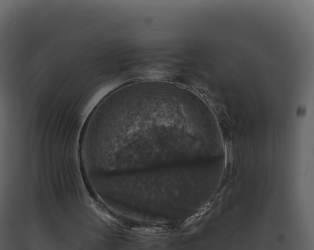 X0000093490147200710191235