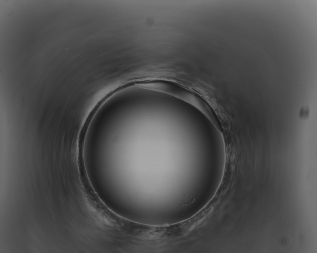 X0000093490148200710191235