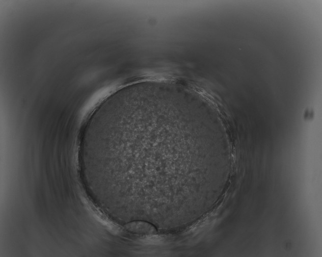 X0000093490149200710191235