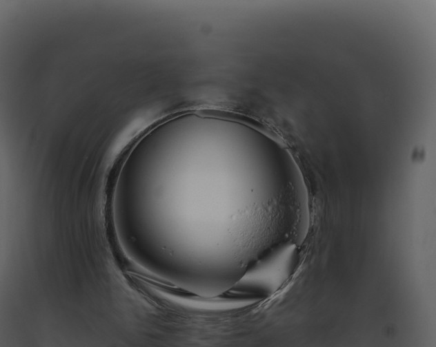 X0000093490150200710191235