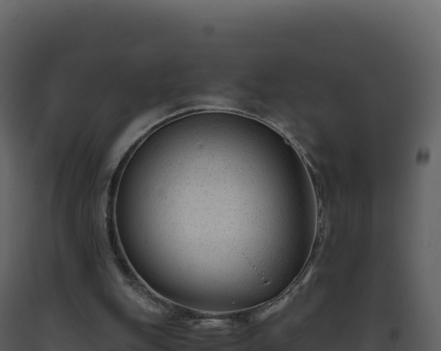 X0000093490151200710191235