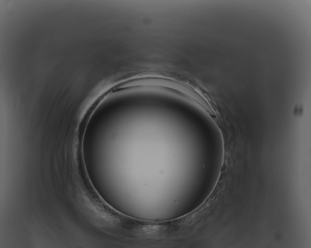 X0000093490152200710191235