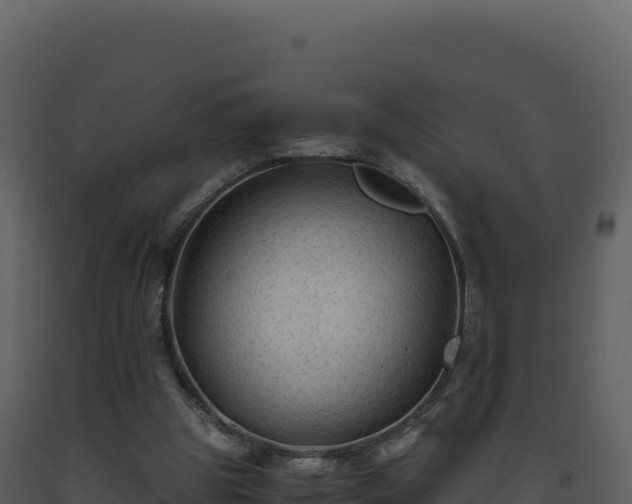 X0000093490153200710191235