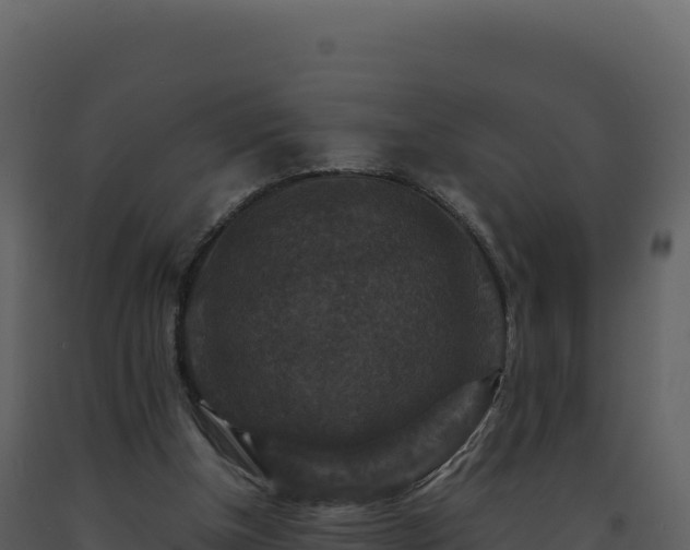 X0000093490154200710191235