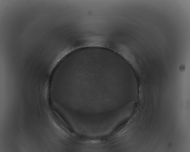 X0000093490156200710191235