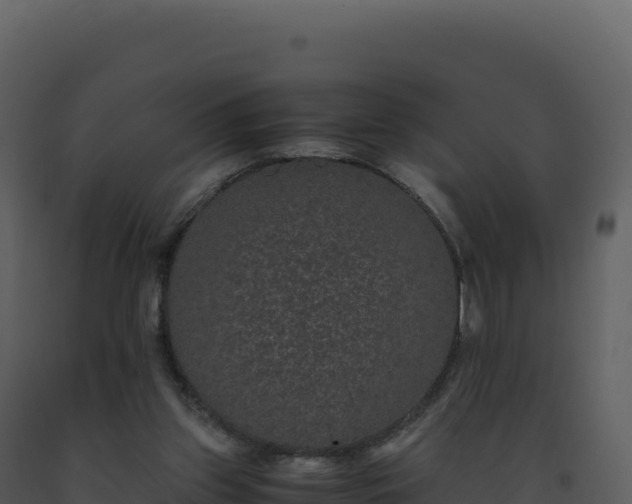 X0000093490157200710191235