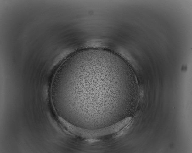 X0000093490158200710191235