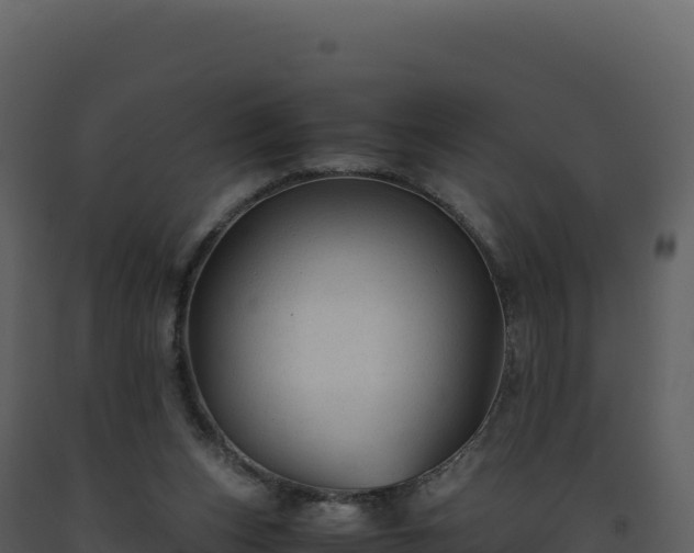 X0000093490159200710191235