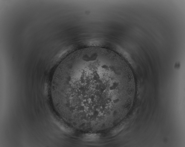 X0000093490161200710191235