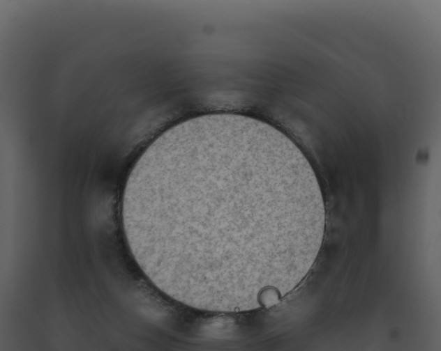 X0000093490162200710191235