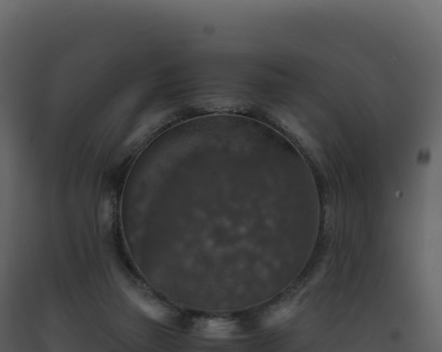 X0000093490165200710191235