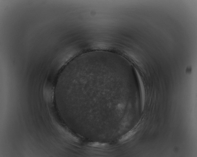 X0000093490168200710191235