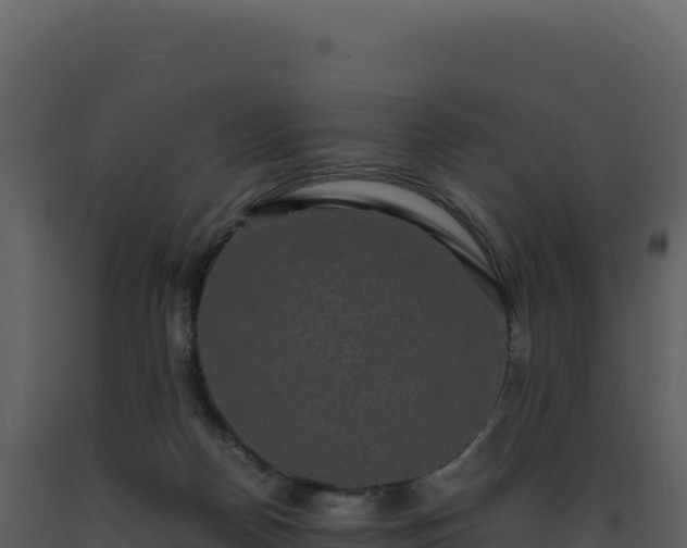 X0000093490170200710191235