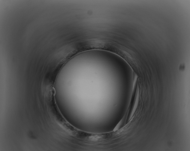 X0000093490172200710191235