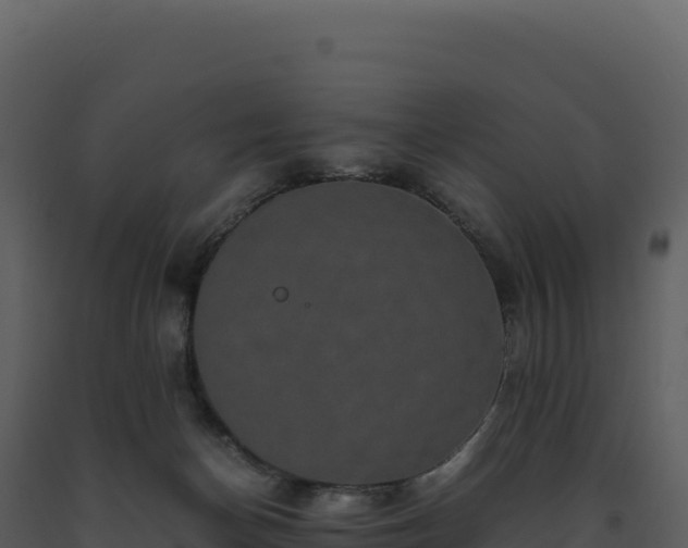 X0000093490174200710191235