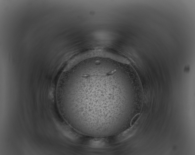 X0000093490175200710191235