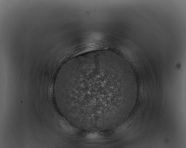 X0000093490177200710191235