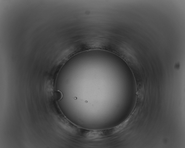 X0000093490179200710191235