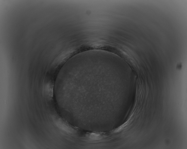 X0000093490180200710191235