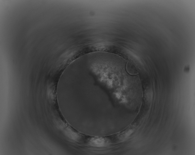 X0000093490181200710191235